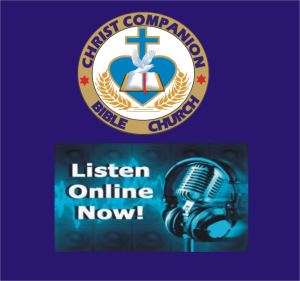 companion radio